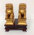 Small Asian Gold Guardian Lions