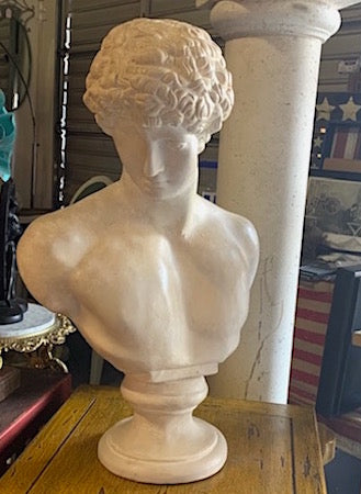David Bust