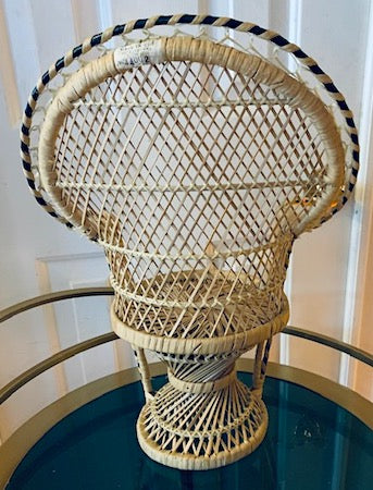 Small Peacock Natural Chair Planter/Decor