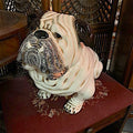 Porcelain Bull Dog