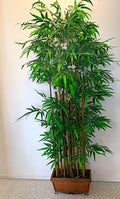 Artificial Bamboo Tree - Potted