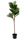 Artificial Ficus Tree