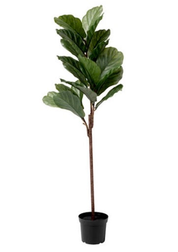 Artificial Ficus Tree