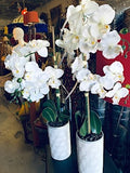"Medellin" Faux White Orchids