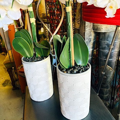 "Medellin" Faux White Orchids