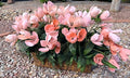 Foral "Tulips" In a Basket Centerpiece