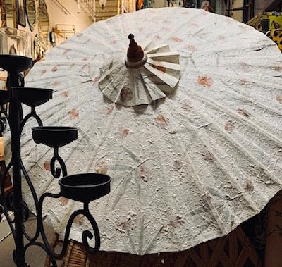 Large Ivory Parasol