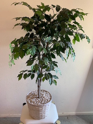 Artificial Ficus Plant