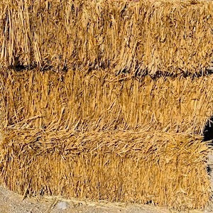 Straw Bale